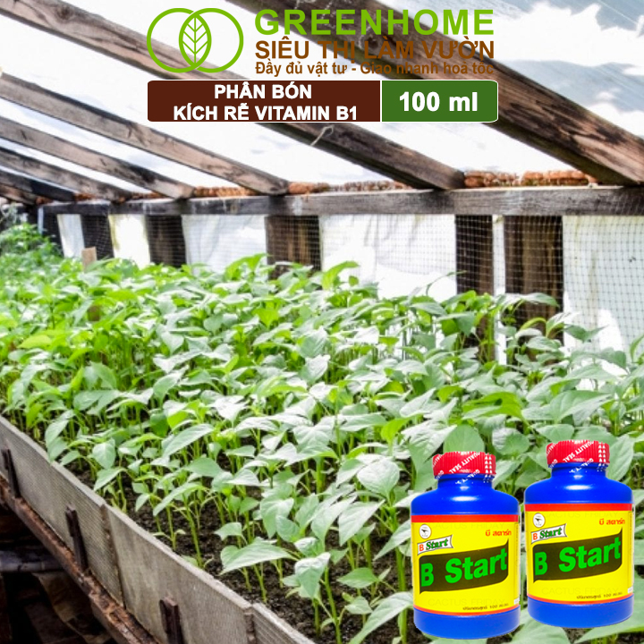 Phân Bón Kích Rễ, Greenhome, B1, Chai 100ml, Tạo Mầm, Rễ Khoẻ, Sai Hoa, Phục Hồi Rễ Yếu, Lá Dày