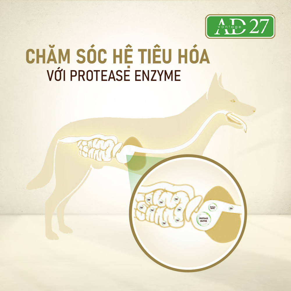 Thức ăn dinh dưỡng dành cho chó ANF AD27 500gram