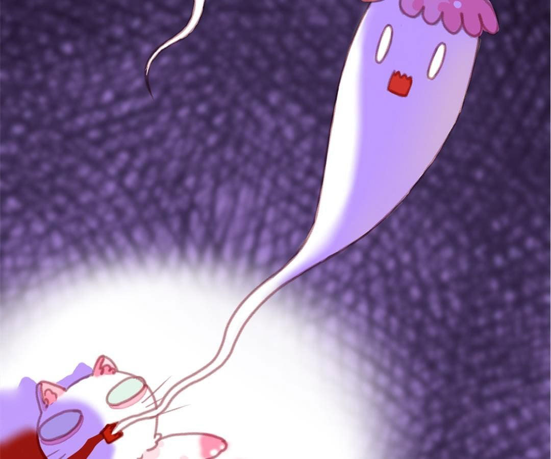 social cat chapter 1 26