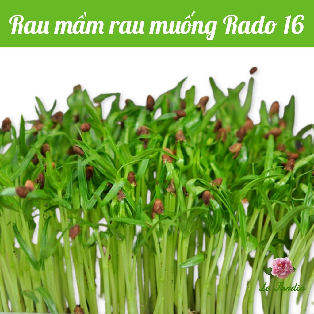 Hạt giống rau mầm rau muống gói 100gr