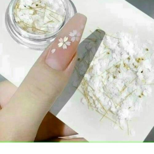 (Hàng mới về) Set nhũ làm cánh hoa 6 màu siêu xinh dành cho nail