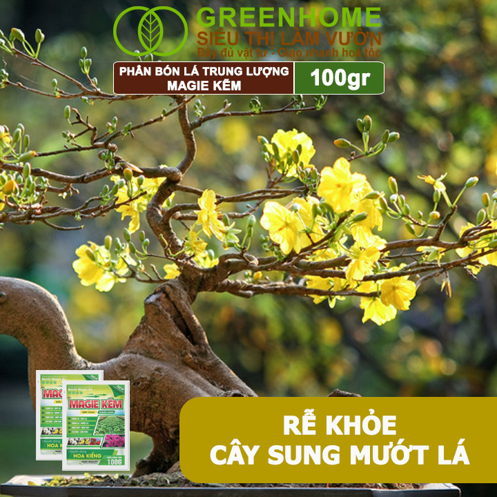 Phân Bón Lá Magie Kẽm, GreenHome, Gói 100GR, Chuyên Dùng Cho Hoa Kiểng