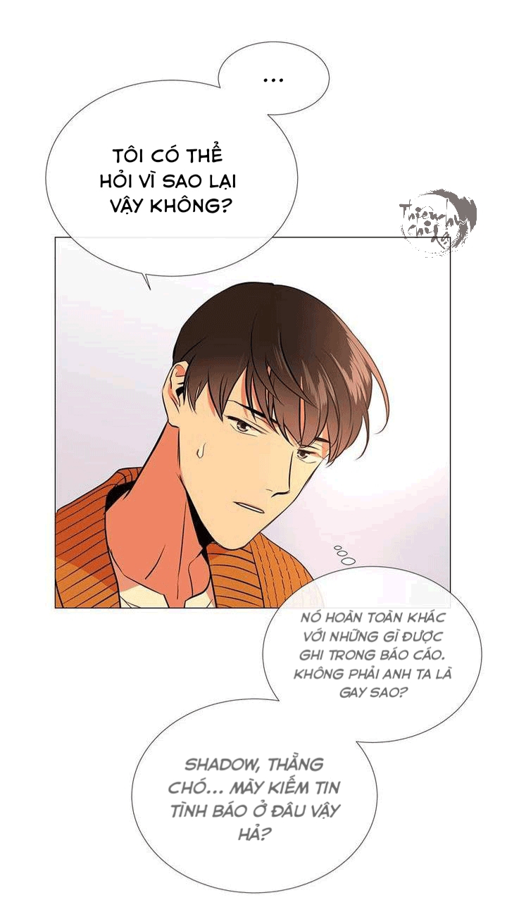 đặc vụ red candy chapter 31 9