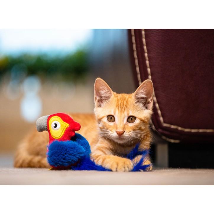 Gigwi đồ chơi tự động tạo tiếng với lông vũ