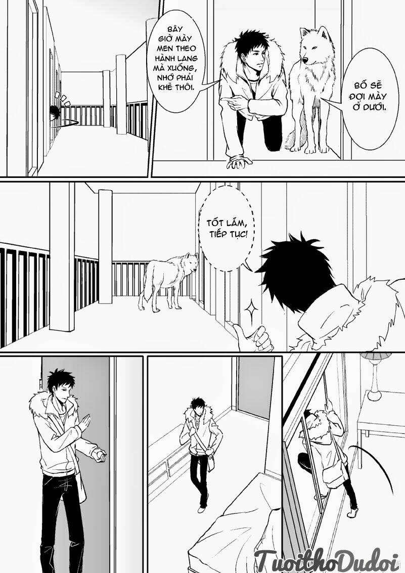 sự mê hoặc của sói chapter 21 5