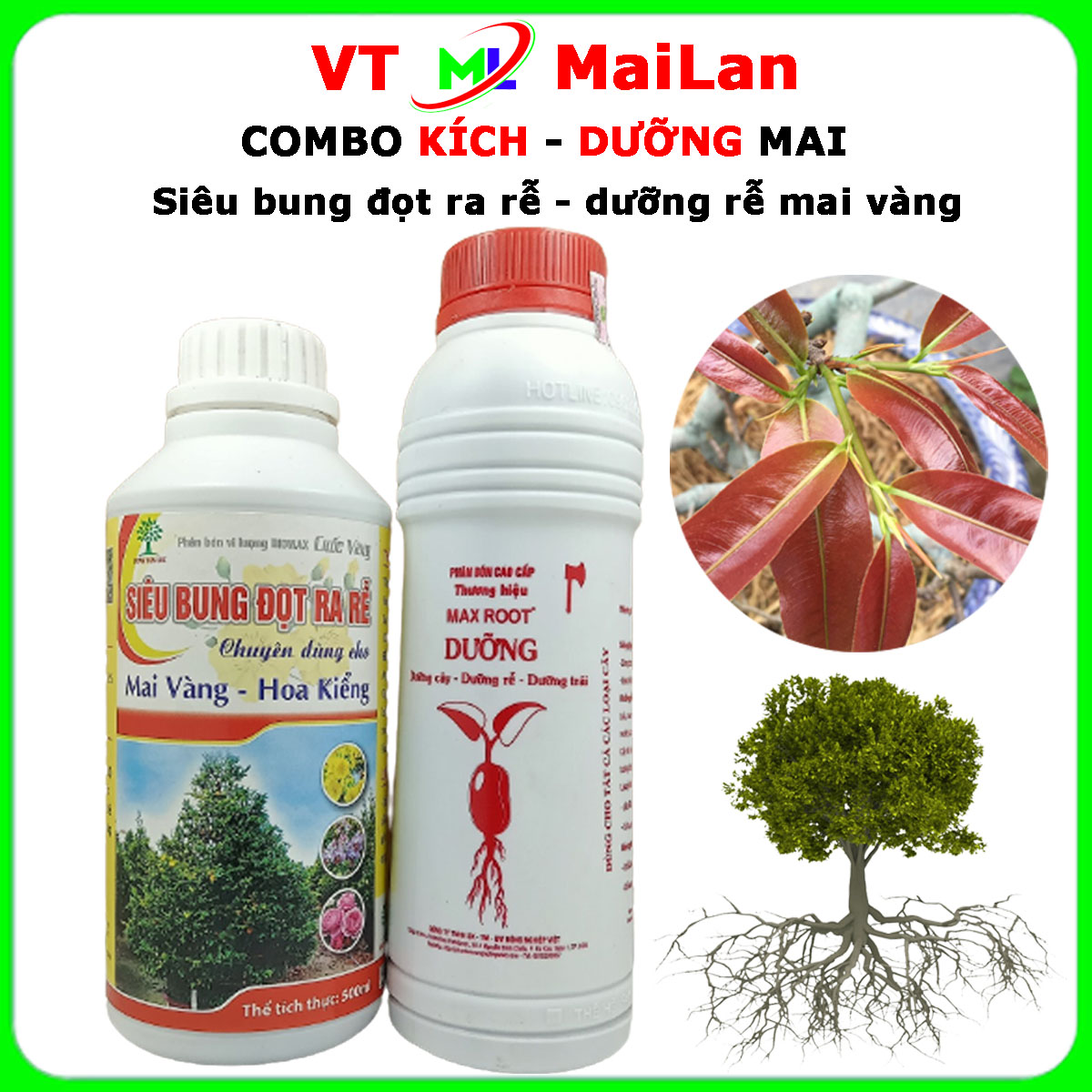 Siêu bung đọt biomax - dưỡng rễ mai vàng max root