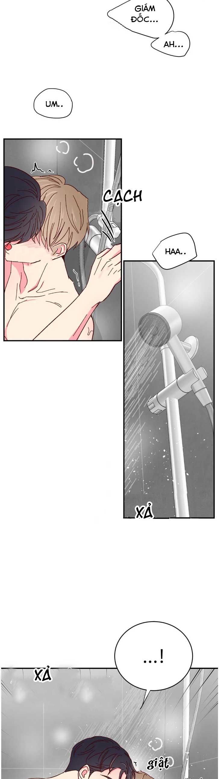 món tráng miệng của sếp tổng chapter 70 20