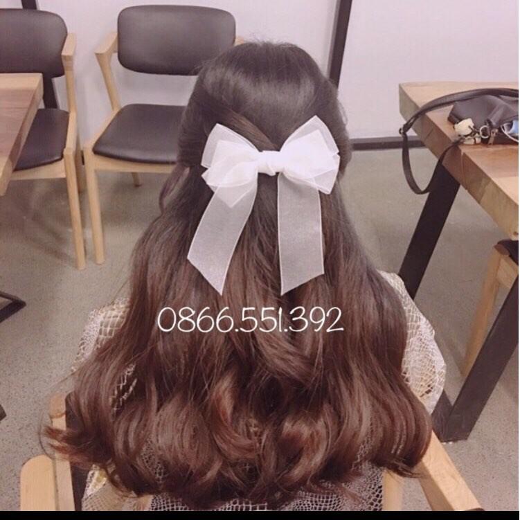 Sỉ 10 cặp nơ voan nhũ cao cấp