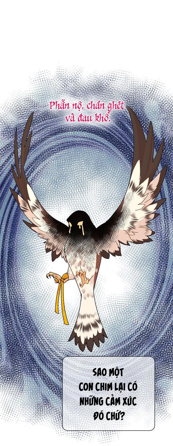 công chúa của loài chim chapter 37.1 31