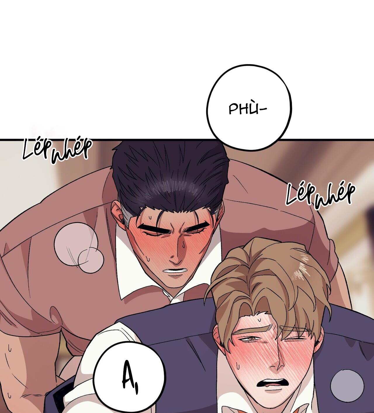 làm dâu nhà tài phiệt họ kang chapter 50 65