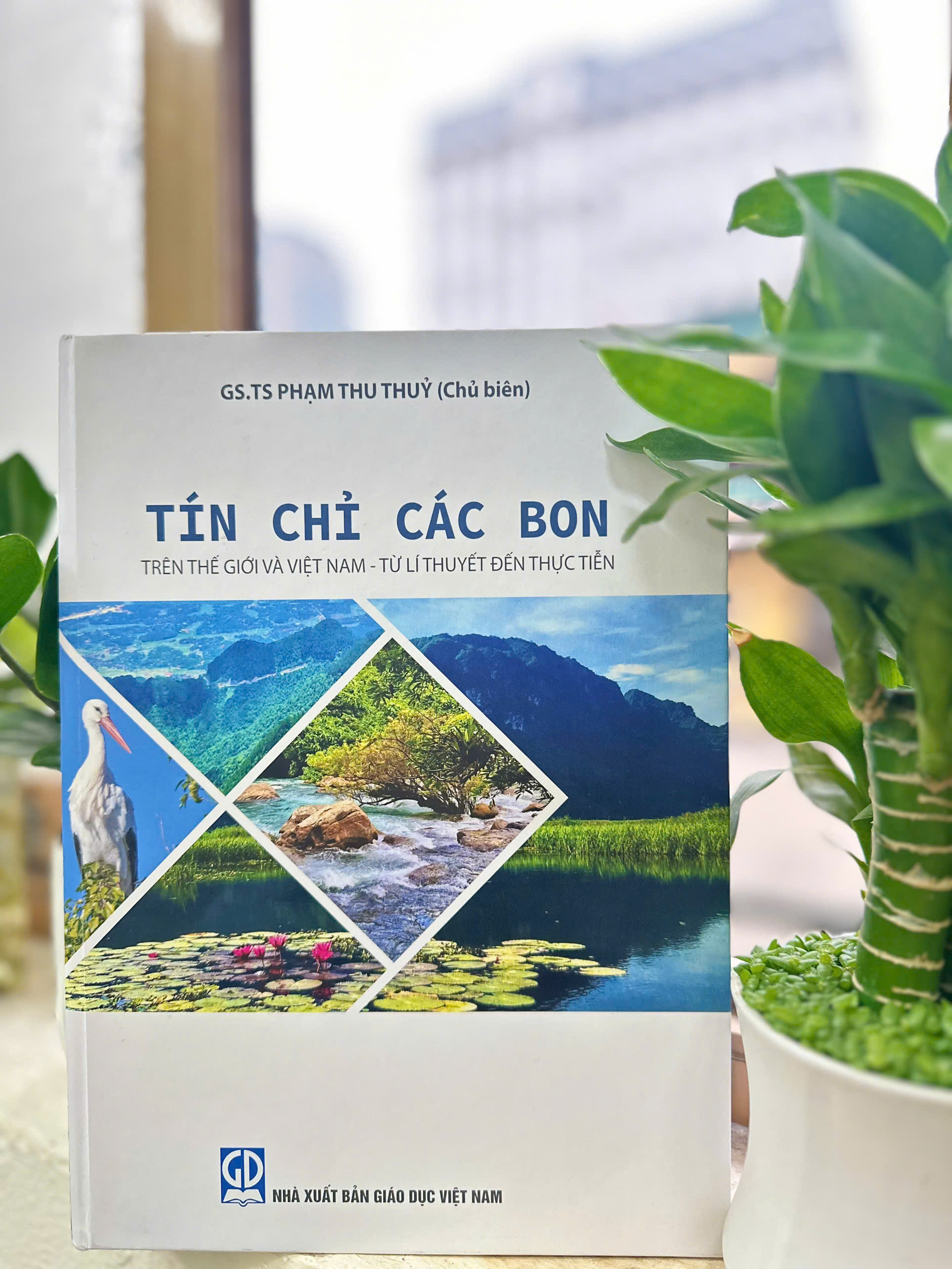 Tín chỉ các bon trên thế giới và Việt Nam - Từ lí thuyết đến thực tiễn