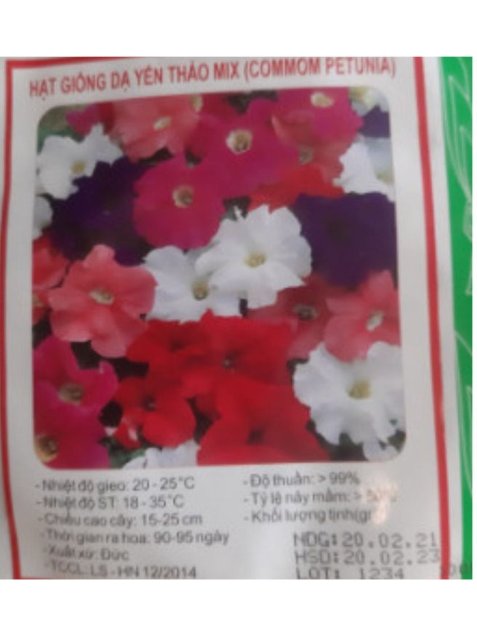 Shop Midori_Hạt giống dạ yến thảo mix