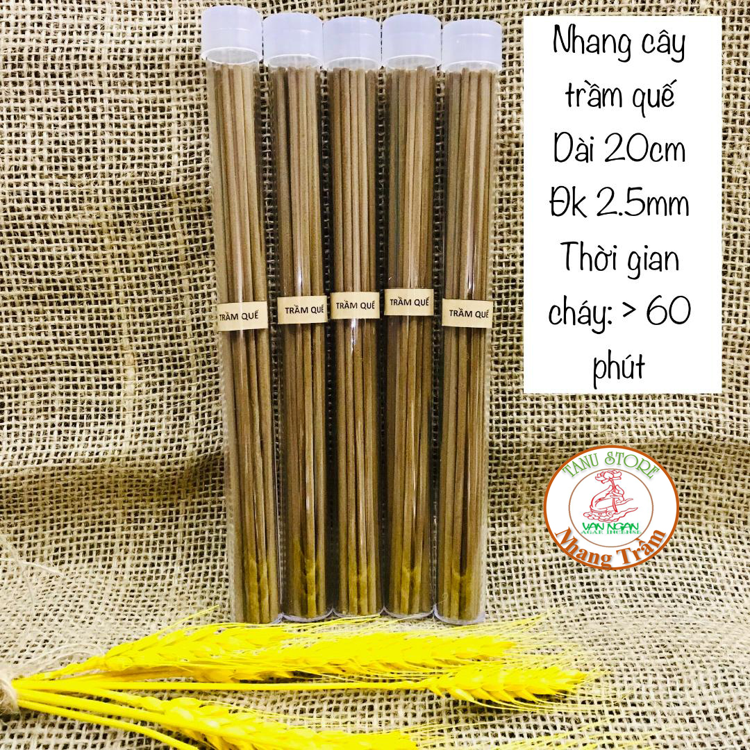 NHANG CÂY TRẦM QUẾ 20CM- THƠM ẤM ÁP LAN TỎA RẤT DỄ CHỊU- THANH LỌC KHÔNG KHÍ