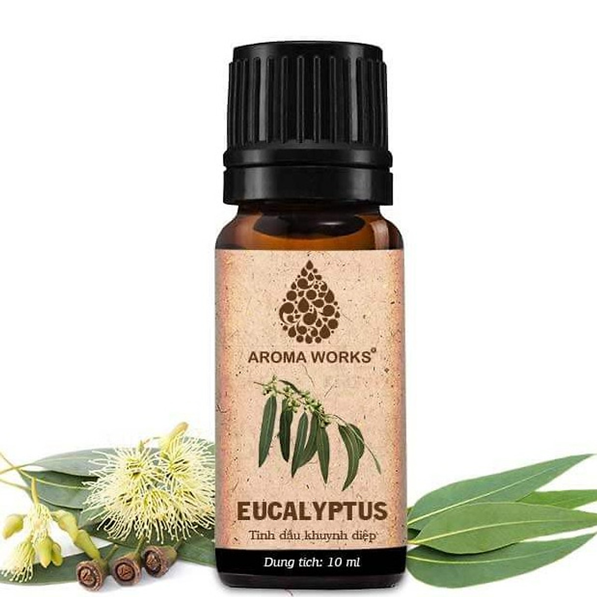 Tinh Dầu Khuynh Diệp Aroma Works Essential Oils Eucalyptus