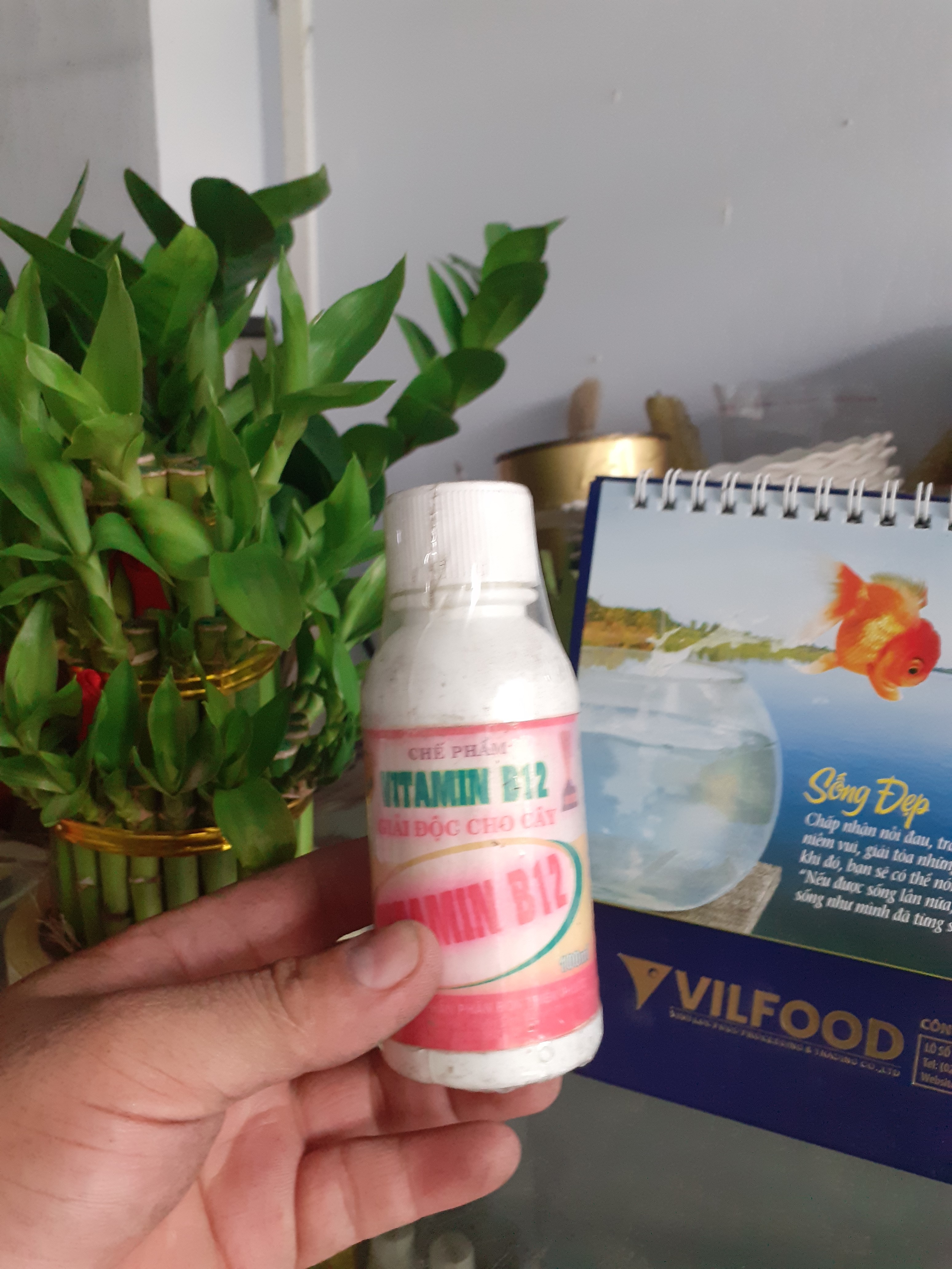 Chế phẩm giải độc cho cây Vitamin B12