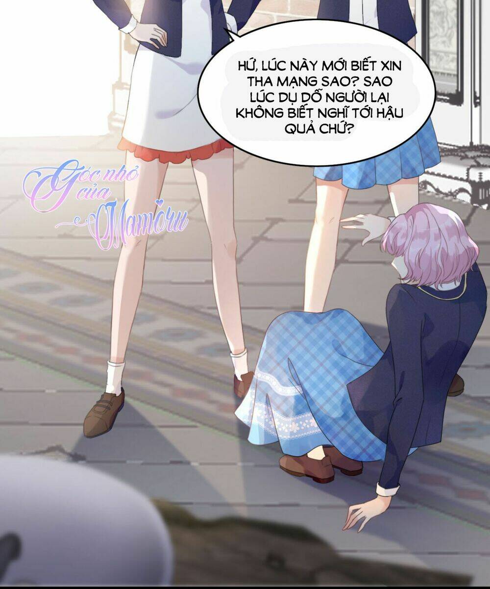 cô bé lọ lem của tôi không ăn chay chapter 2 4