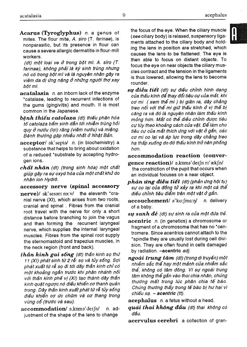 Từ Điển Y Học Anh - Việt