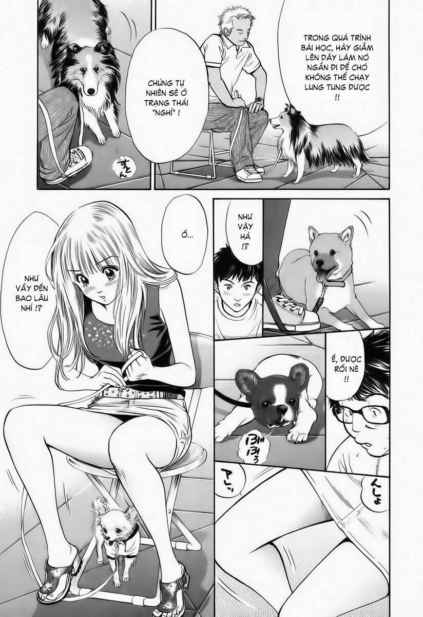 cô nàng yêu chó chapter 35 15