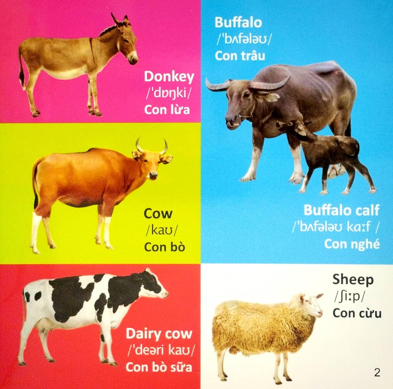 101 First Words: Animals - 101 Từ Đầu Tiên: Động Vật