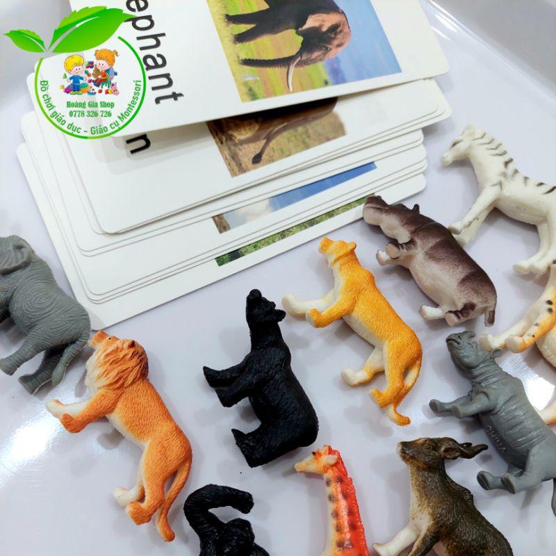 Mô hình 12 động vật hoang dã kèm thẻ ảnh