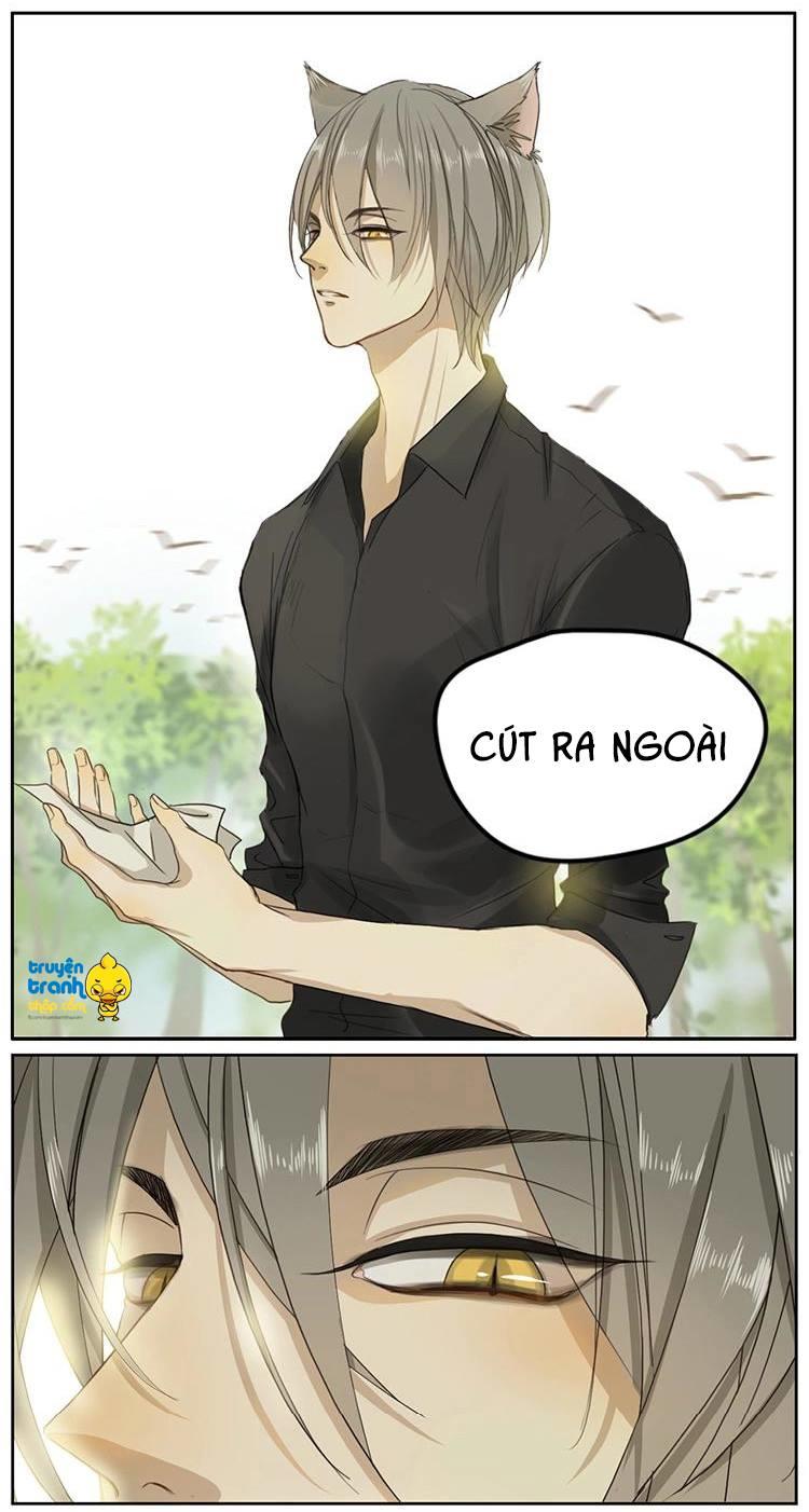 cứu mạng ! loài mèo thống trị thế giới rồi ! chapter 2 15