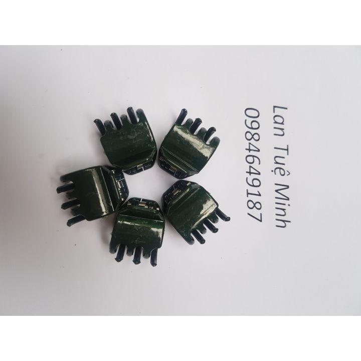 Set 100 Kẹp đại cố định lan thân to màu xanh
