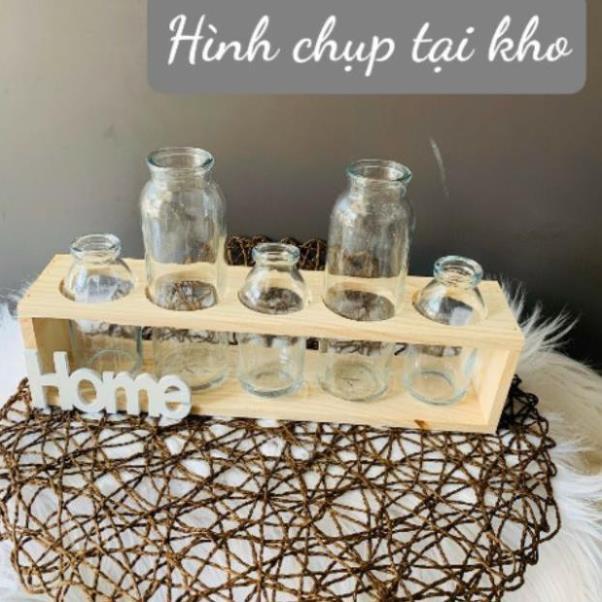 Set 5 lọ thủy tinh cao thấp cắm hoa kèm kệ gỗ Home.