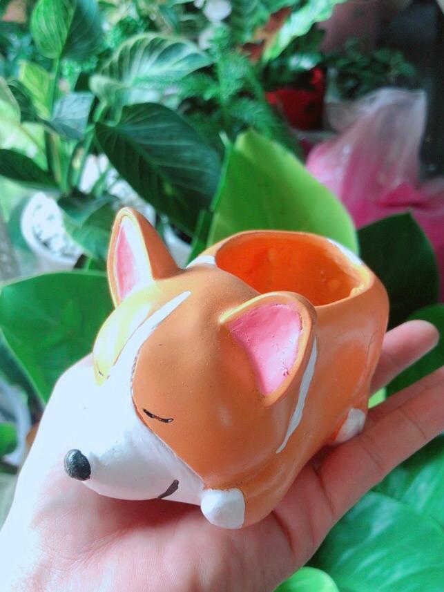 Chậu Trồng Cây