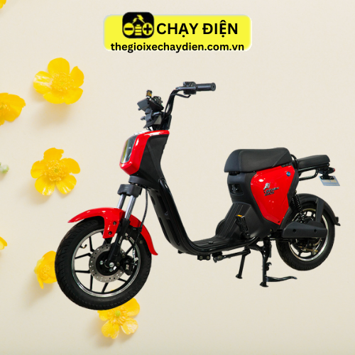 XE ĐẠP ĐIỆN DKBIKE SPARTA
