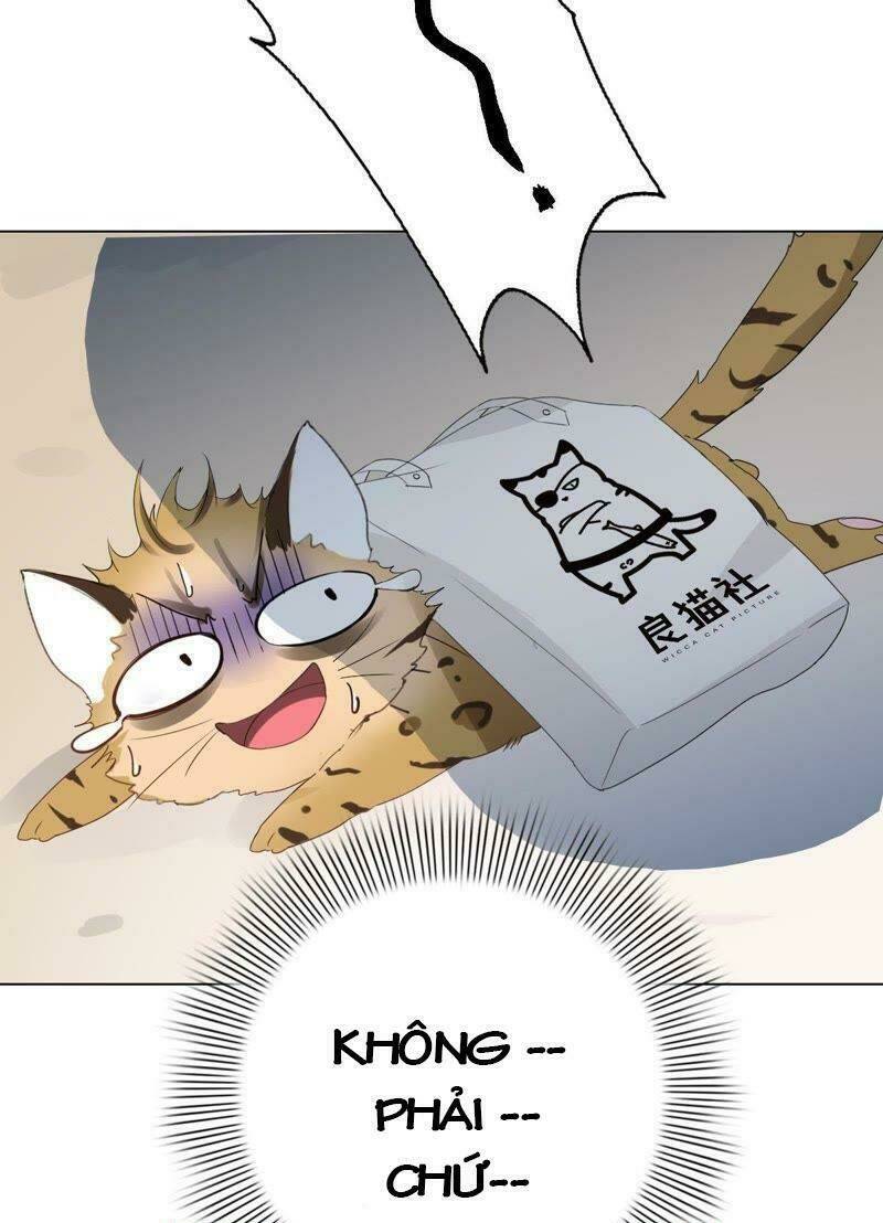 thập nhị hắc miêu chapter 1 27