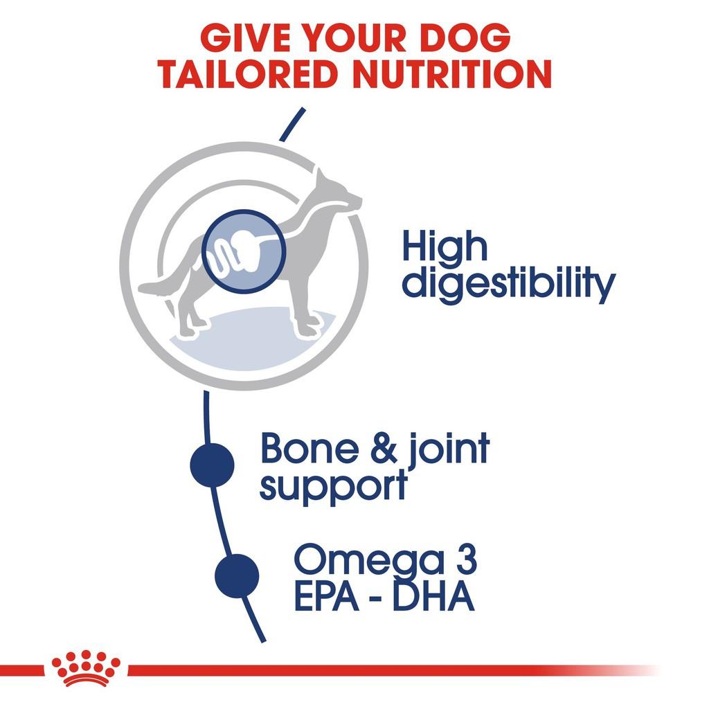 Pate Cho Chó Lớn Royal Canin Maxi Adult Gói
