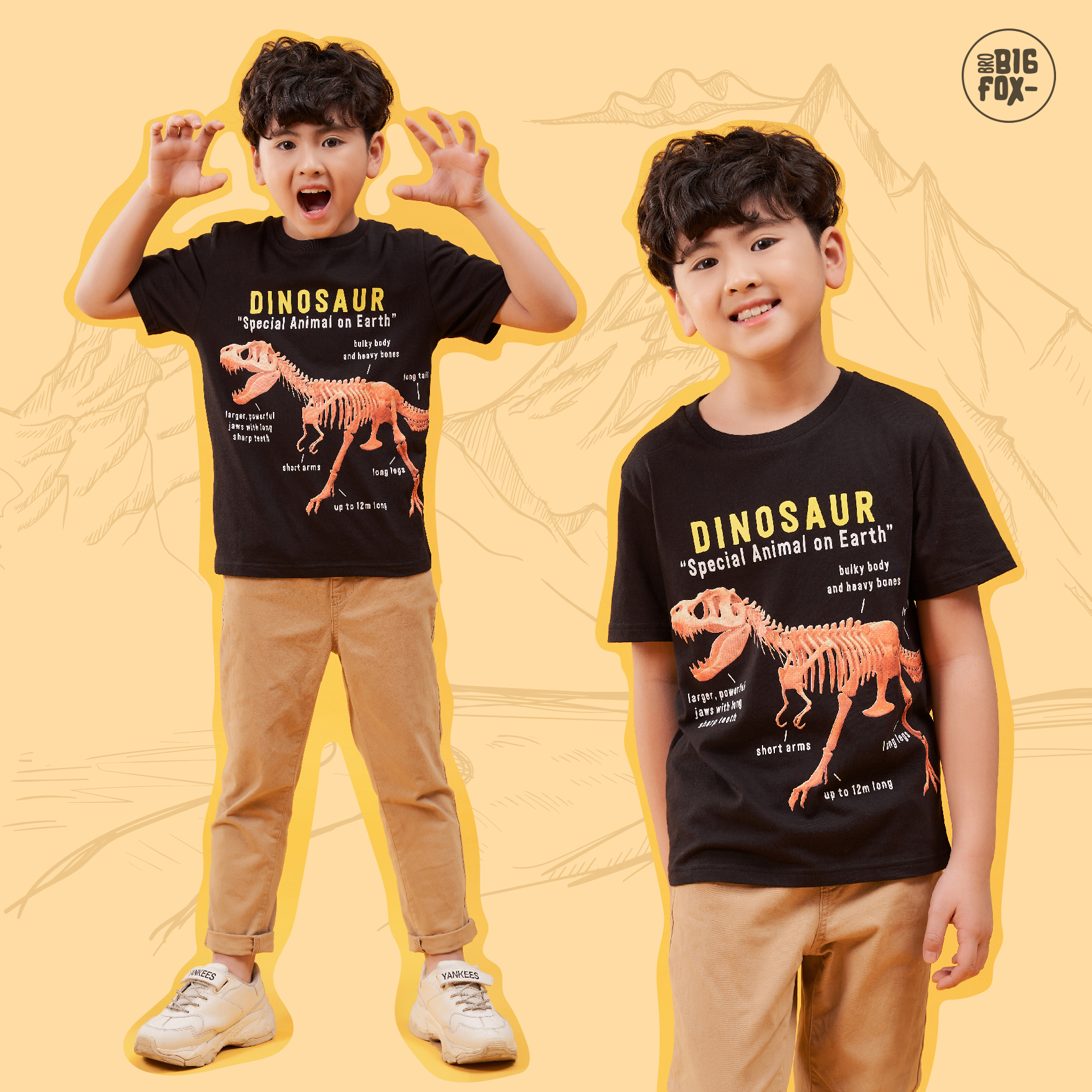Áo thun bé trai BIGFOX - MISS MEOW size đại, áo cho bé chất cotton phong cách Âu Mỹ in Khủng Long Dinosaur 11 - 40 kg QATE