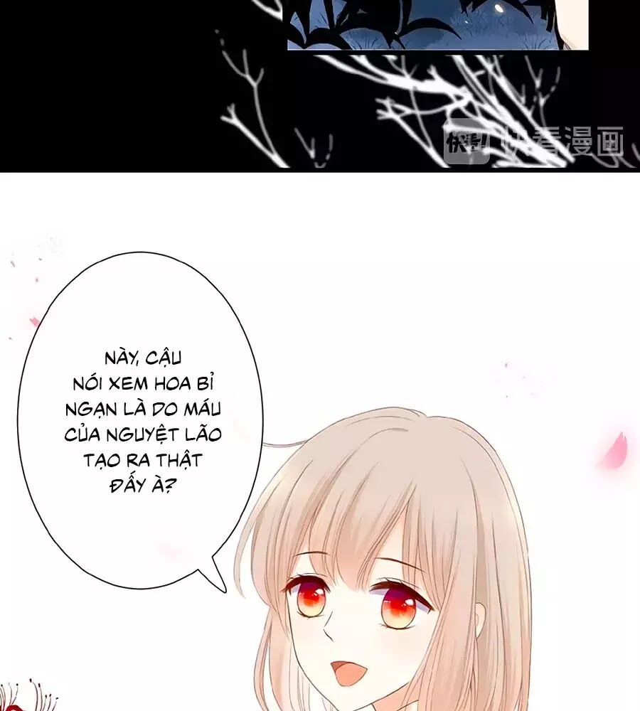 hoa chưa nở rộ chapter 21 9