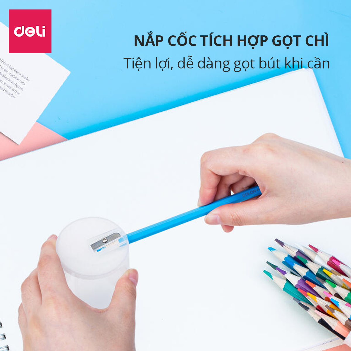  Bút chì màu chuyên nghiệp dạng cốc Deli 24/36/48 màu - 68123/68124/68125