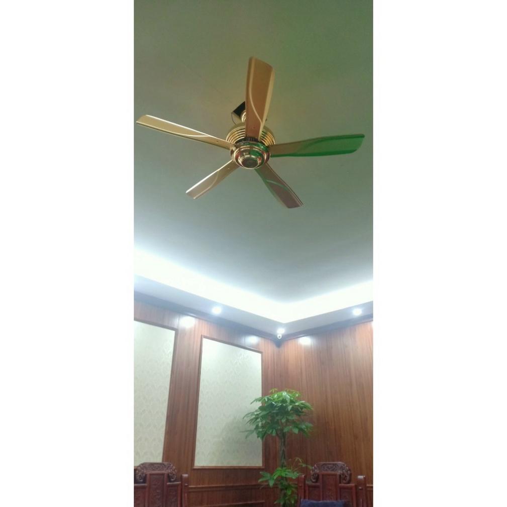 Quạt Trần Không Đèn hàng hiệu nguyên nhân DC Lõi Đồng 6 Số, hiệu suất 90w, khuyến mãi kèm theo Móc cao su thiên nhiên T