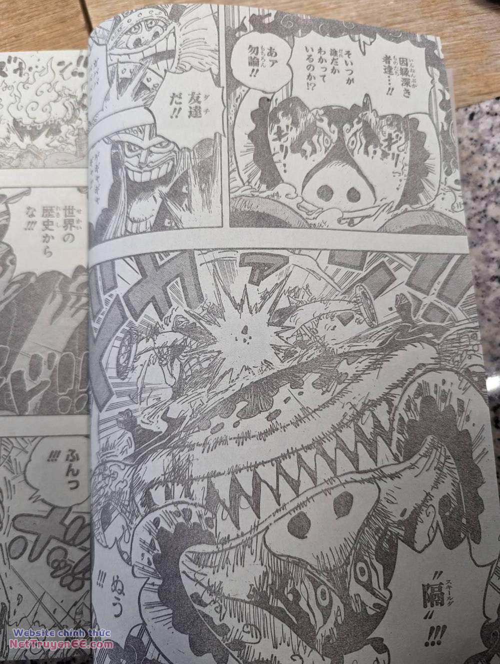 đảo hải tặc - one piece chapter 1111 17