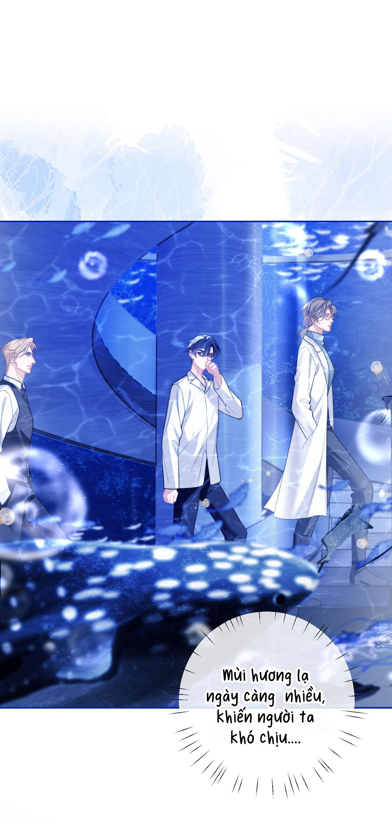 nhân ngư dessaro chapter 12 1