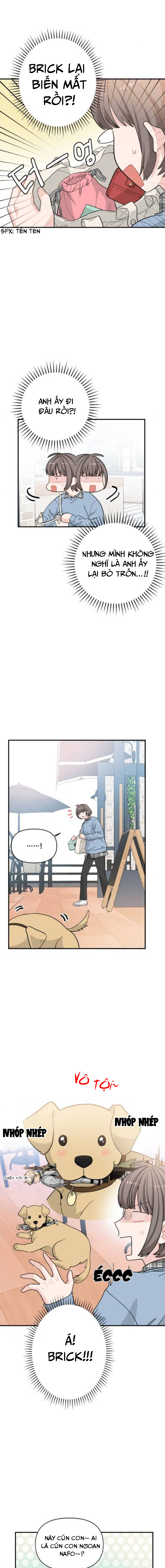 bảo vệ tôi, hiệp sĩ chapter 8 15