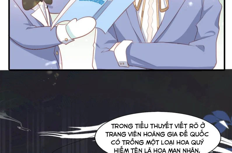 phản diện bị truy thành đoàn sủng chapter 21 11