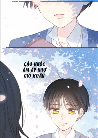 nỗi buồn của hoa cẩm tú cầu chapter 35 24