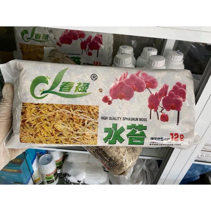 Rêu rừng trồng lan