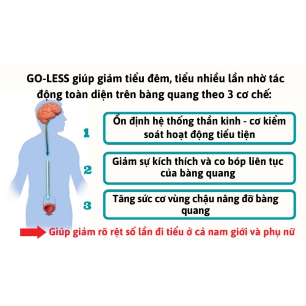 Ích Niệu Khang giúp 96% người dùng giảm rõ rệt tiểu đêm, tiểu nhiều lần, tiểu són, tiểu không kiểm soát và bàng quang tăng hoạt OAB.