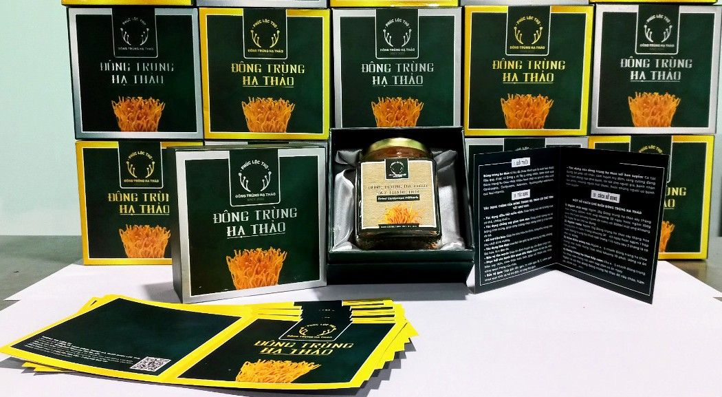 Đông trùng hạ thảo sấy thăng hoa