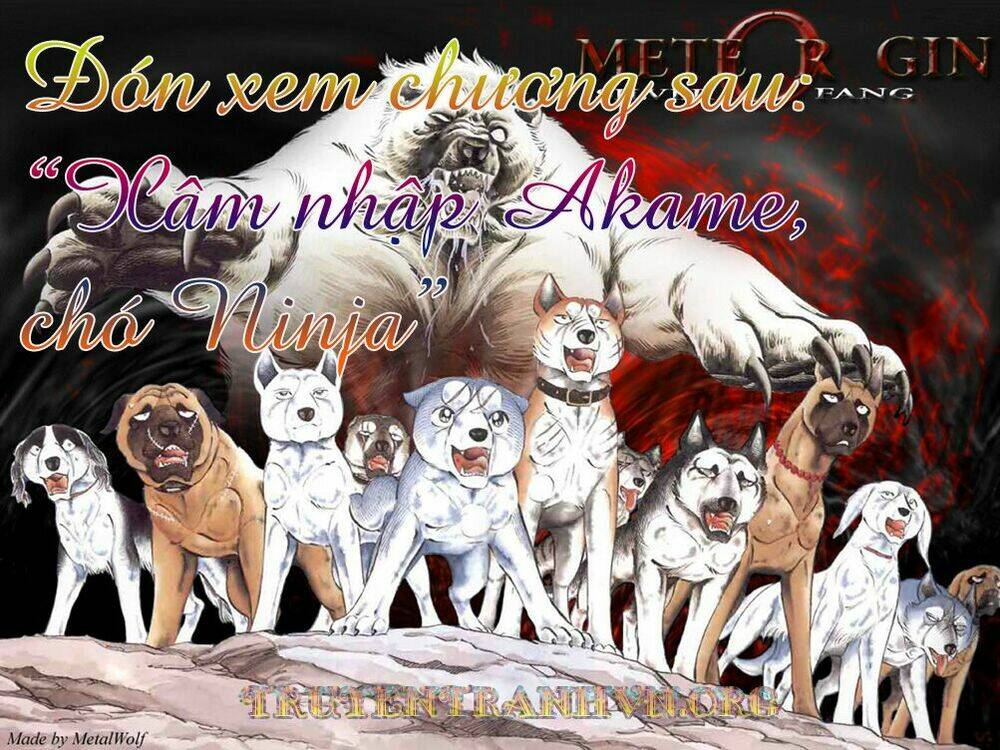 chú chó có nghĩa - ginga nagareboshi gin chapter 17 18