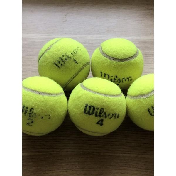 Banh tennis cũ loại 1 xịn còn mới 90% hàng nhập cao cấp