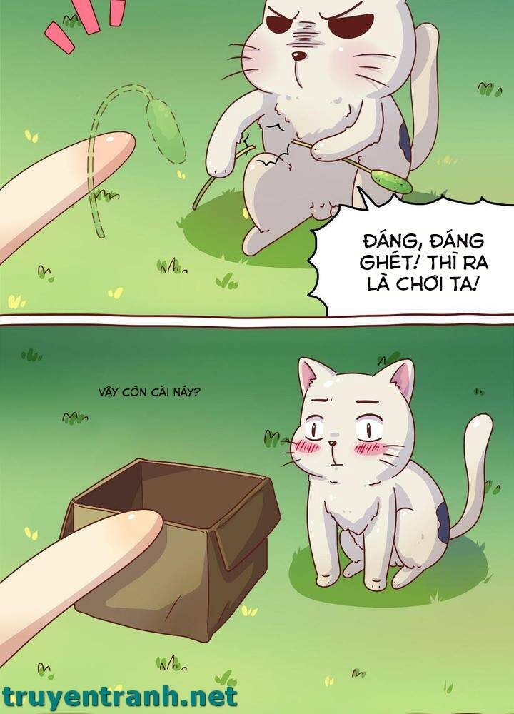 cây nấm kì khả chapter 7 11