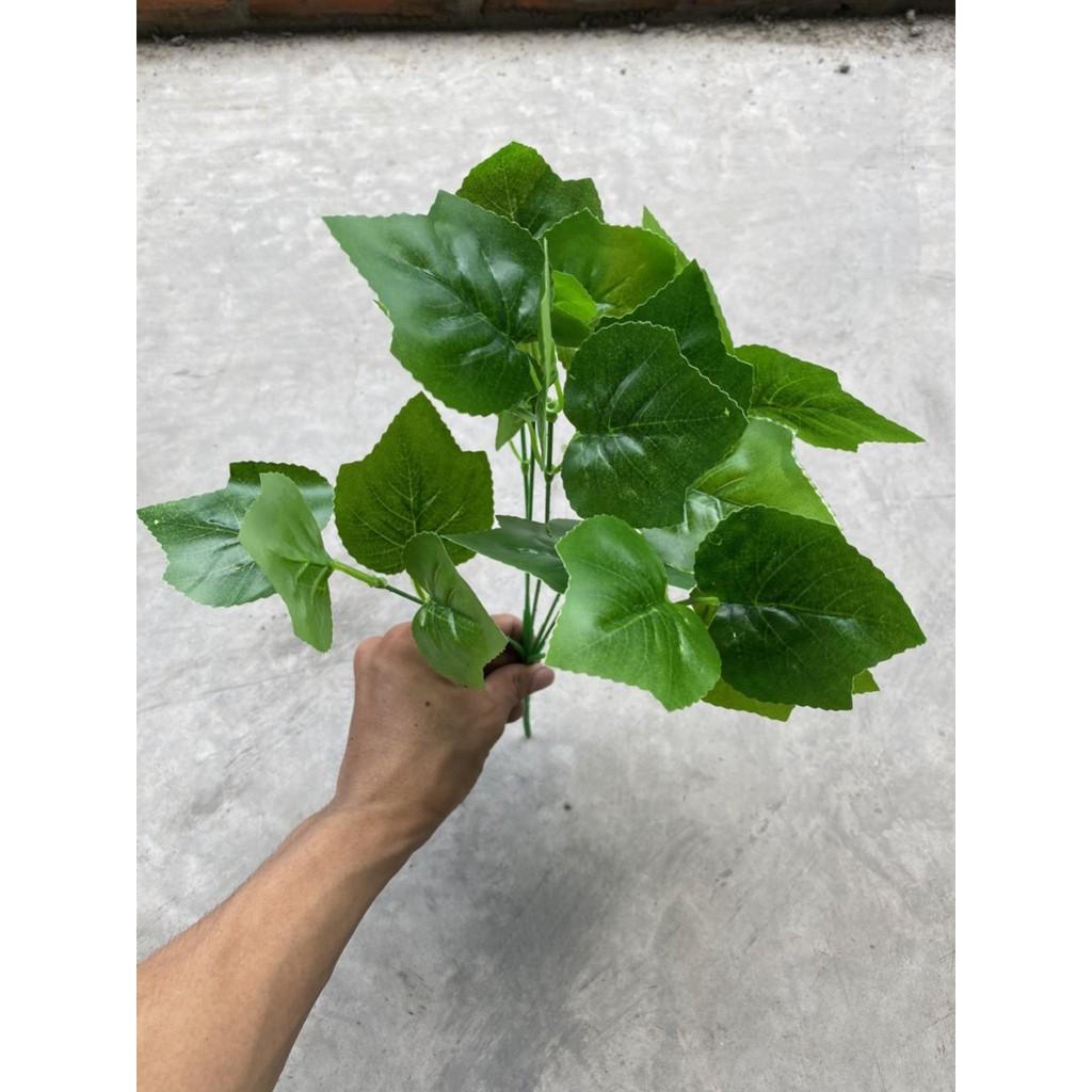 Cành lá dương sỉ điểm trang trí