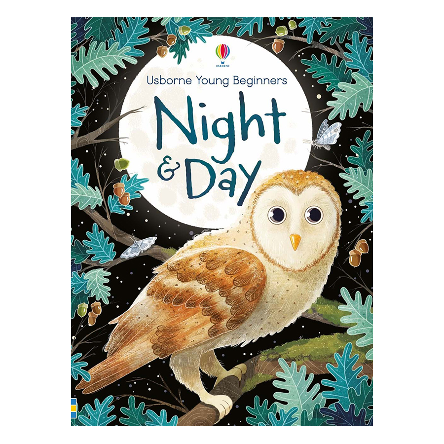 Usborne Young Beginners Night and Day