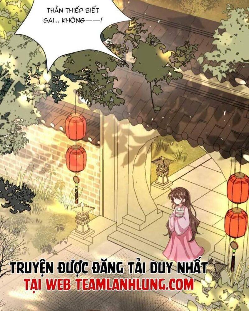 phương thức sinh tồn của công chúa pháo hôi chapter 119 6