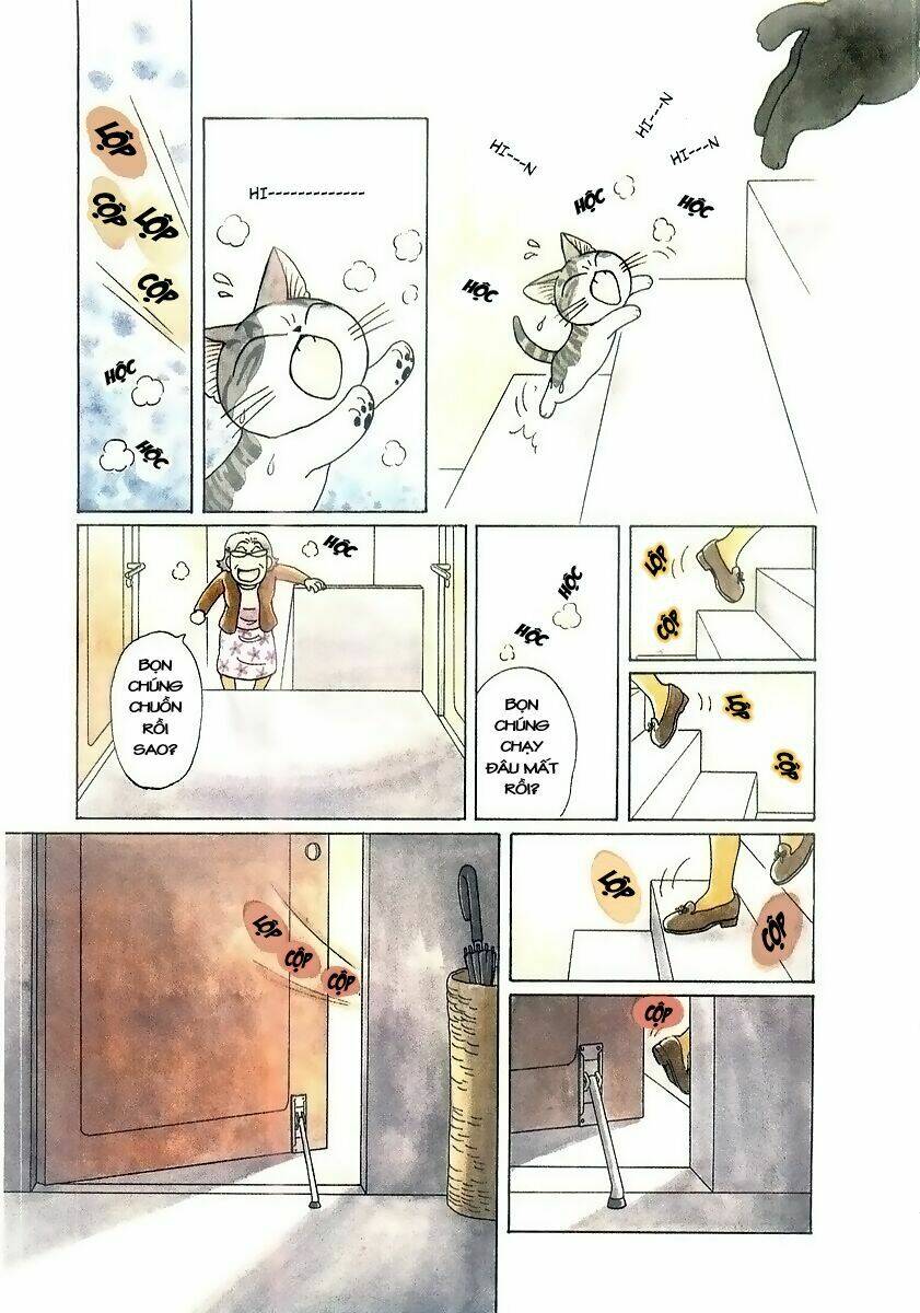 chi's sweet home chapter 47 8